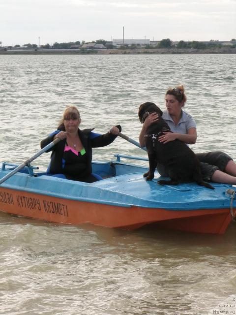 Фотография № 31011