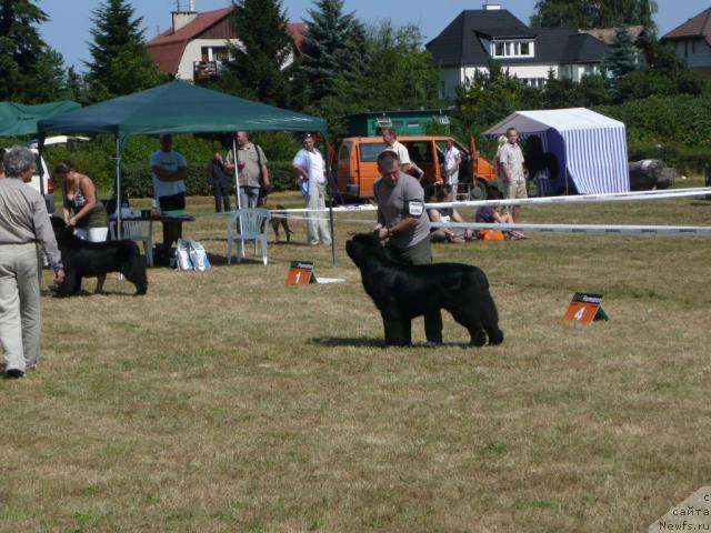 Фото: Norkros GRAND GONZO