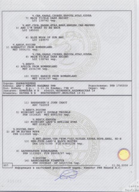 Фото: Veronika Batina (Вероника Батина)