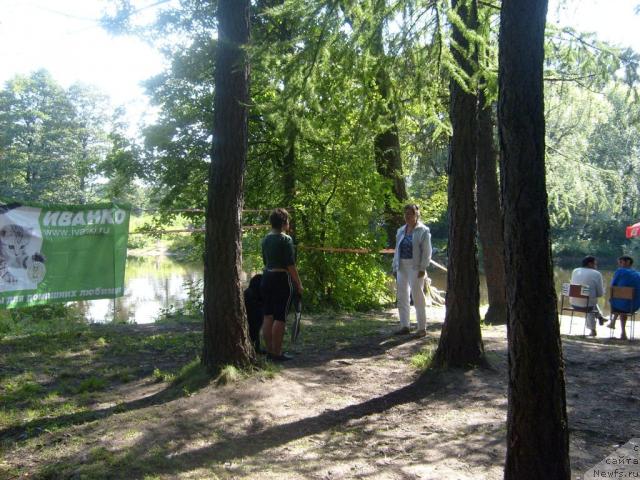 Фотография № 31022