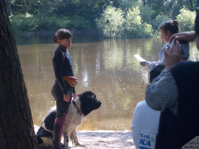 Фотография № 31024