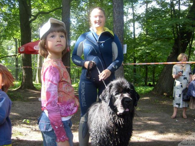 Фотография № 31025