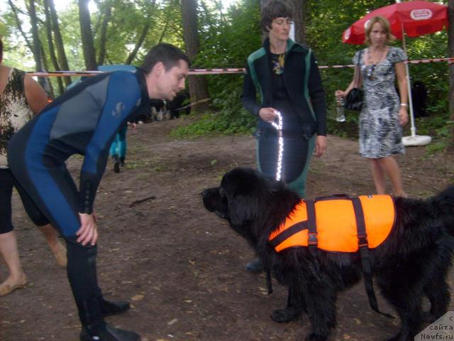 Фотография № 31026