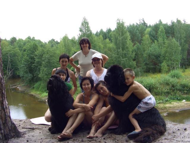 Фото: ньюфаундленд Lesnaya Skazka Lunnaya Sonata (Лесная Сказка Лунная Соната), ньюфаундленд Akin Soul Sofiya (Акин Соул София)