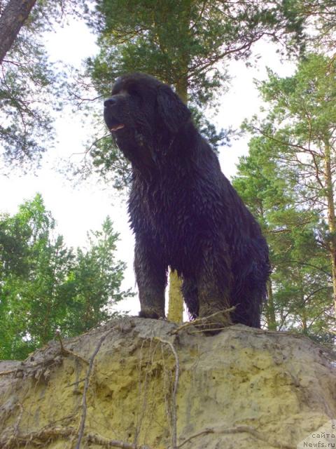 Фотография № 31059