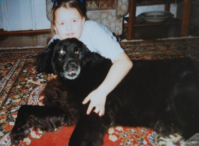 Фото: Elena Popova (Елена Попова)