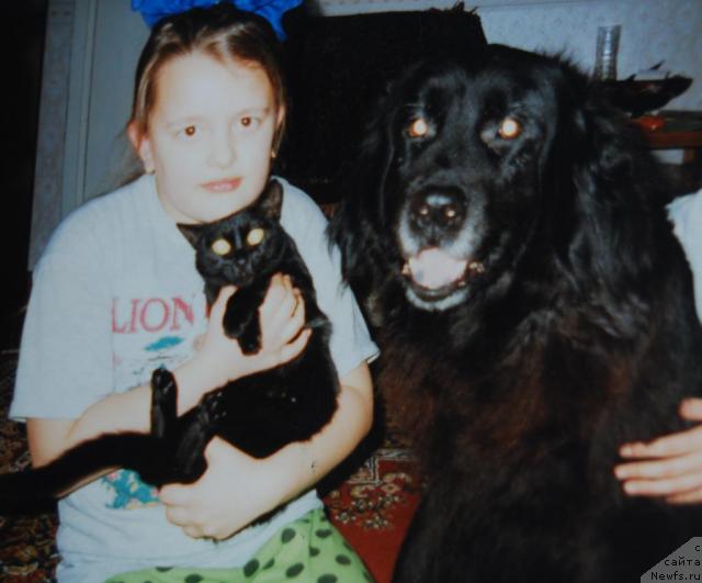 Фото: Elena Popova (Елена Попова)