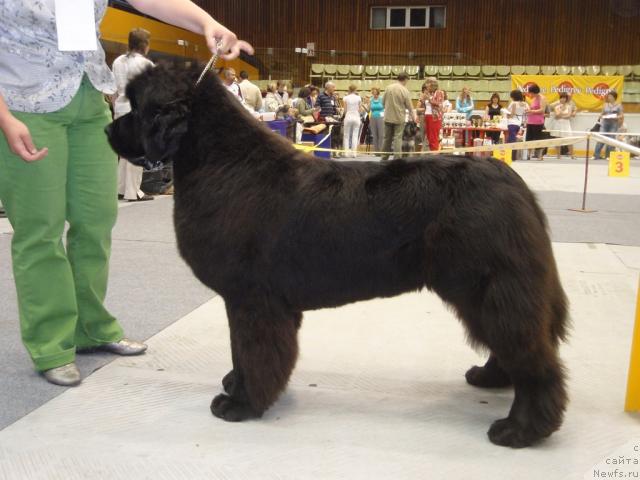 Фотография № 31179