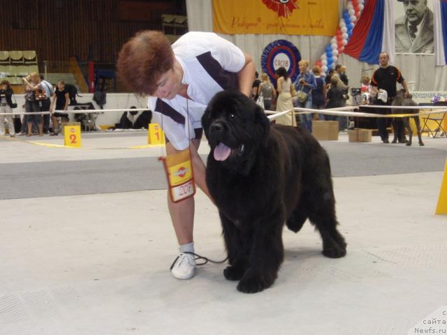 Фотография № 31182