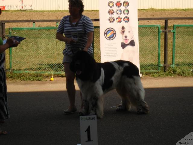 Фотография № 31183