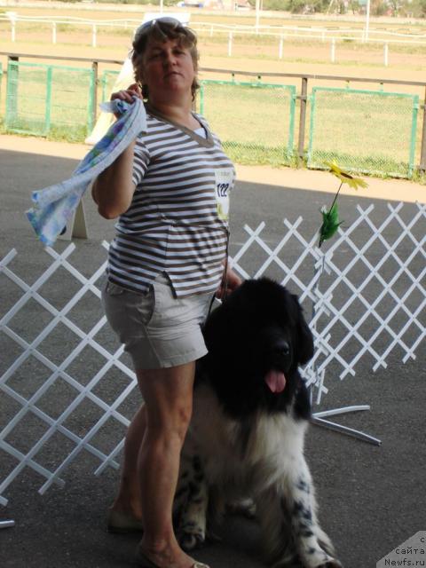 Фотография № 31189