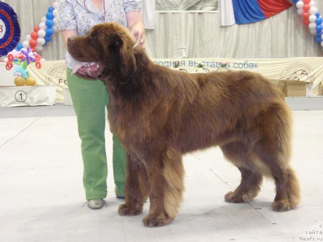 Фотография № 31192