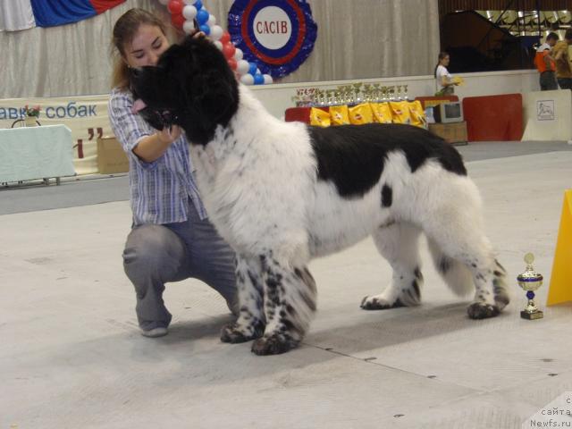 Фотография № 31196