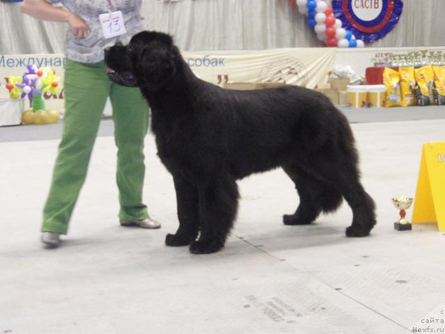 Фотография № 31197