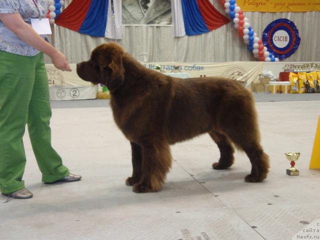 Фотография № 31200