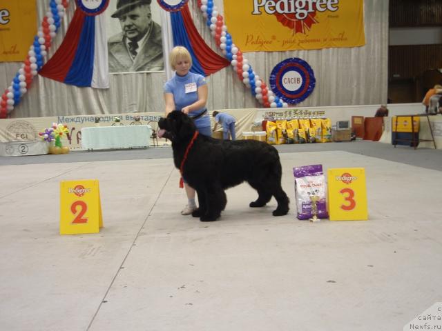 Фотография № 31201