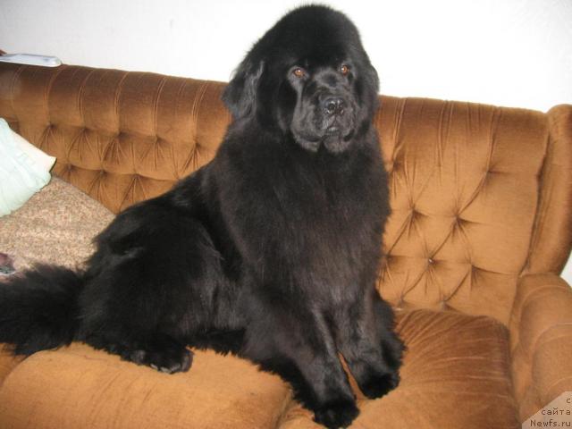 Фотография № 31246