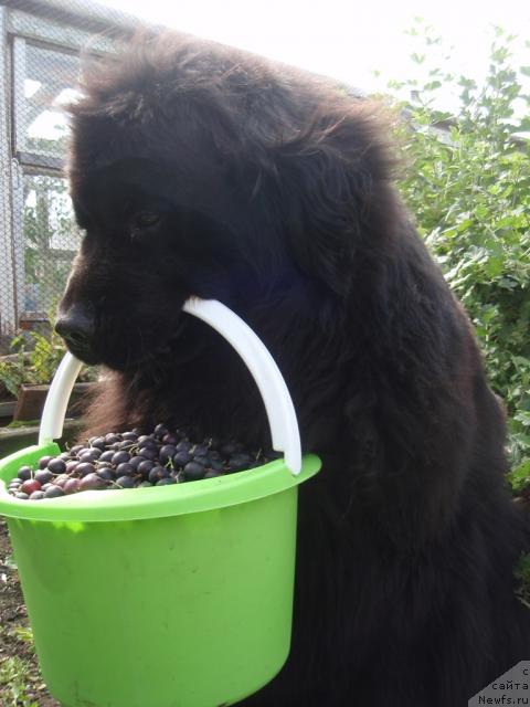 Фотография № 31269