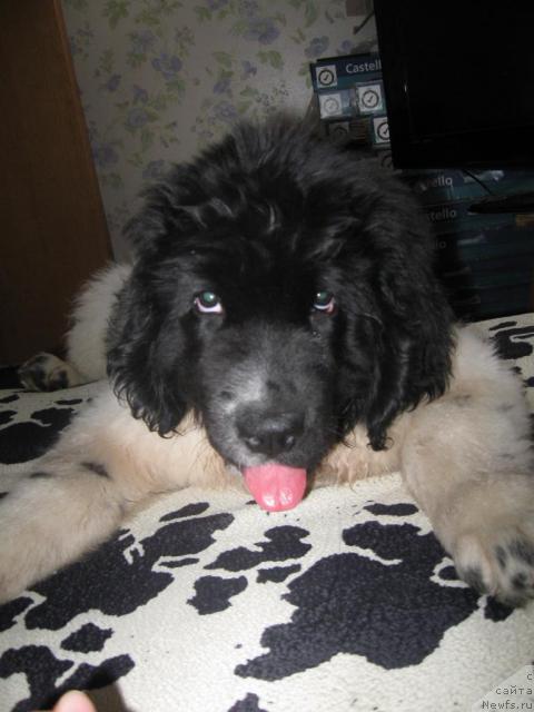 Фото: Тася!)