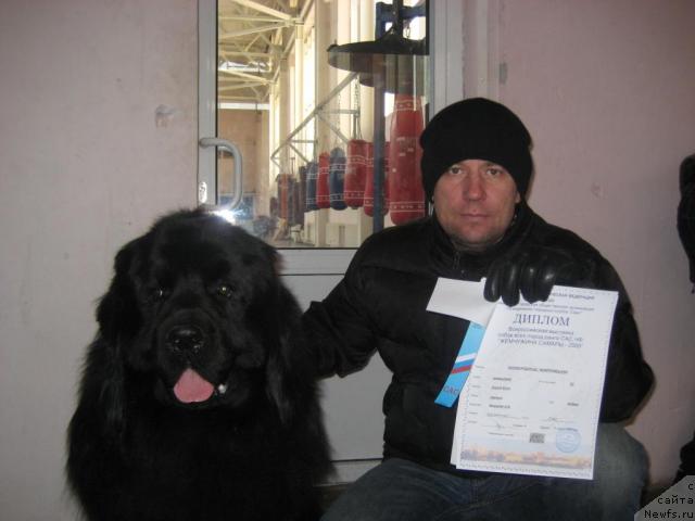 Фото: ньюфаундленд Lloyd Blyek (Ллойд Блэк)