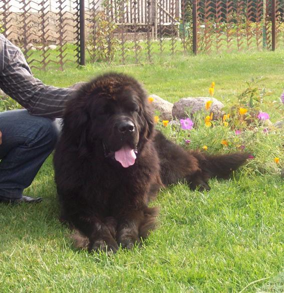 Фотография № 31473