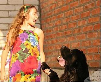 Фото: ньюфаундленд Pchiolkin Dom Avrora (Пчёлкин Дом Аврора)