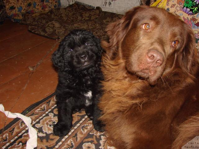 Фотография № 3159