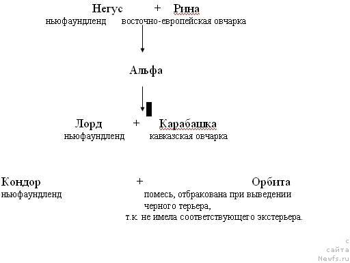 Фотография № 31678