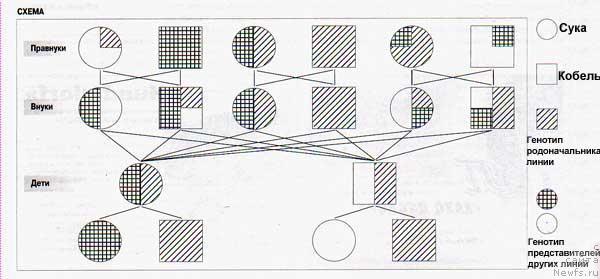 Фотография № 31696