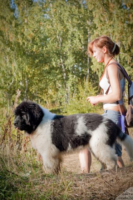 Фото: Тася!), Aleksandra Vesnina (Александра Веснина)