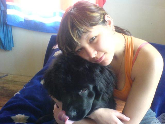 Фото: ньюфаундленд Terra Nova ot Sibirskogo Medvedya (Терра Нова от Сибирского Медведя), Irina YUldasheva (Ирина Юлдашева)