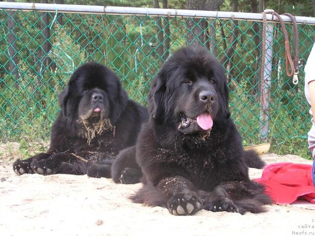 Фотография № 31871