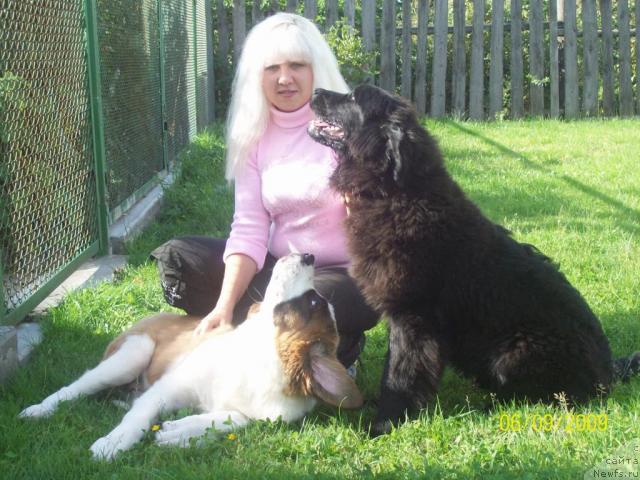 Фото: Навилотош Номохарис Норис, Anna Portnyakova (Анна Портнякова), ньюфаундленд Laskovyiy Mishka (Ласковый Мишка)