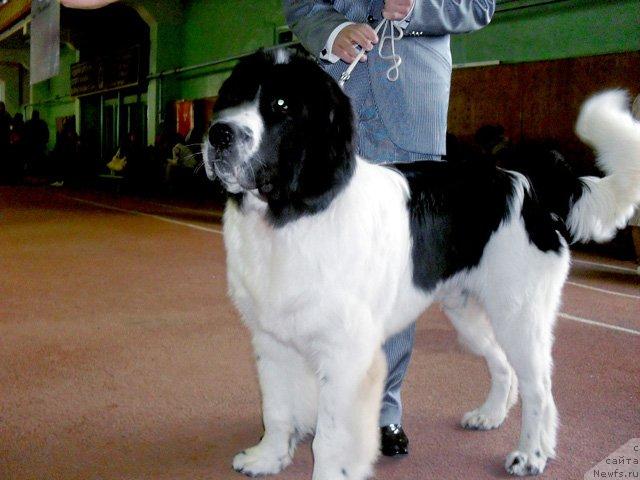 Фотография № 31908