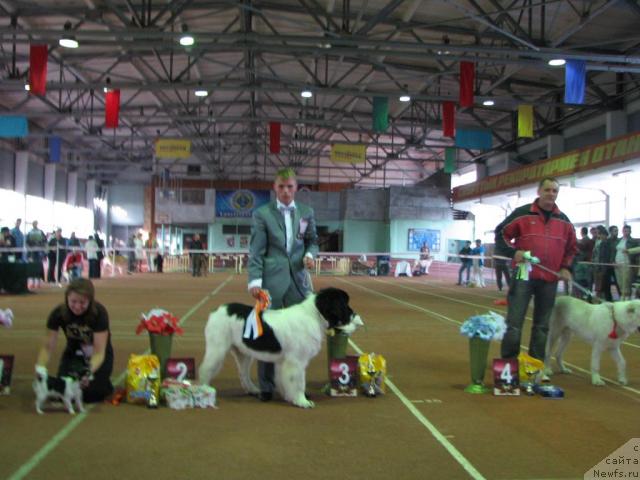 Фотография № 31912