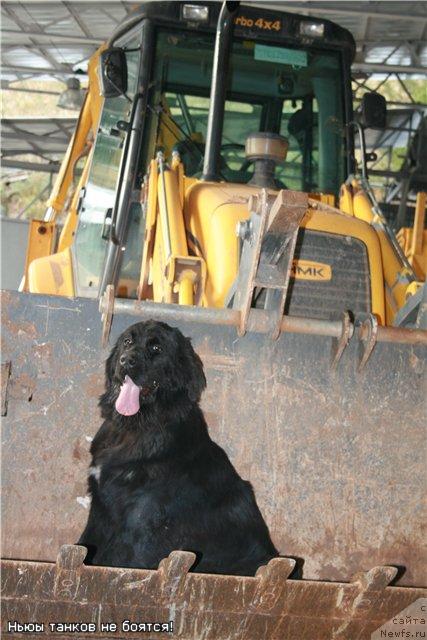 Фотография № 31924