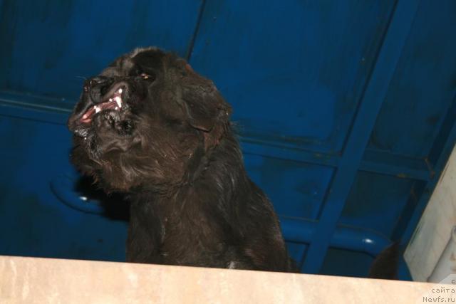 Фото: Farida Siryazeva (Фарида Сирязева)