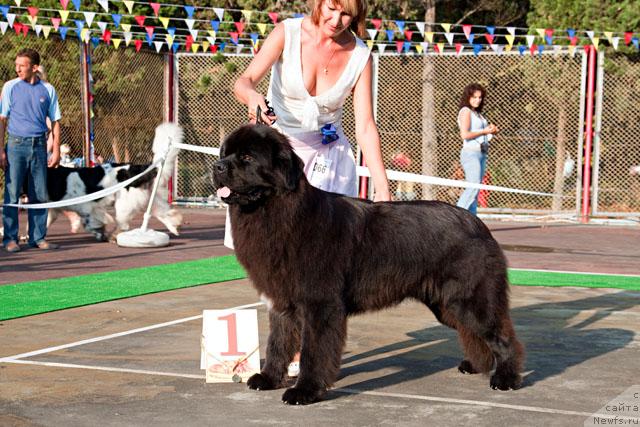 Фотография № 31963