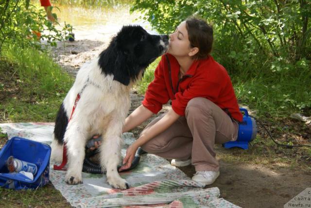 Фото: Katerinka Klassen (Катеринка Классен), ньюфаундленд Lord Luxemburg Ayular iz Tihogo Omuta (Лорд Люксембург Аюлар из Тихого Омута)