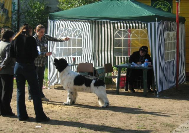 Фотография № 32010