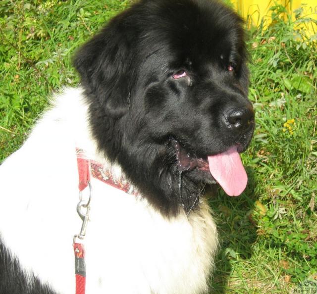 Фотография № 32013