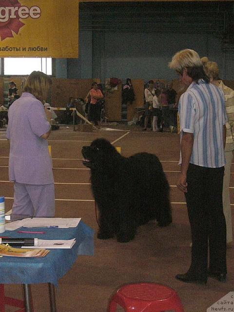 Фотография № 32043