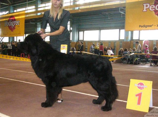 Фотография № 32052