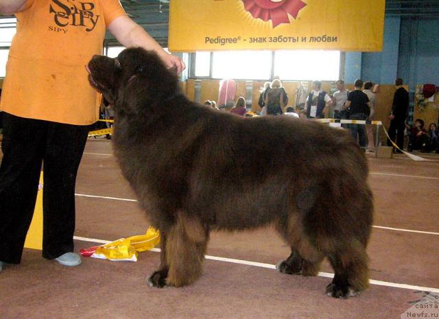 Фотография № 32053