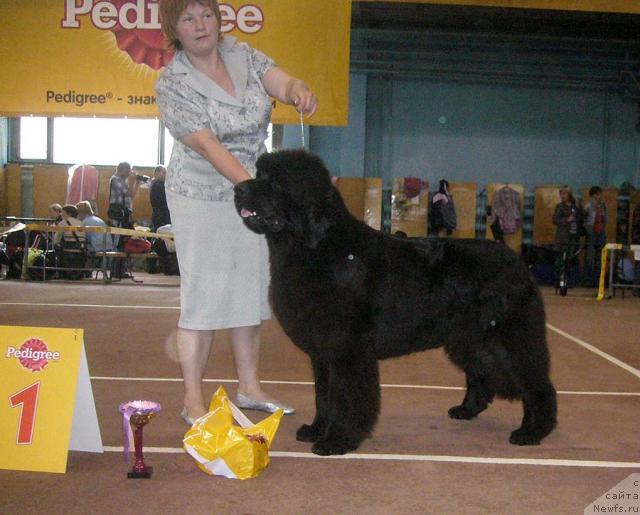 Фотография № 32056