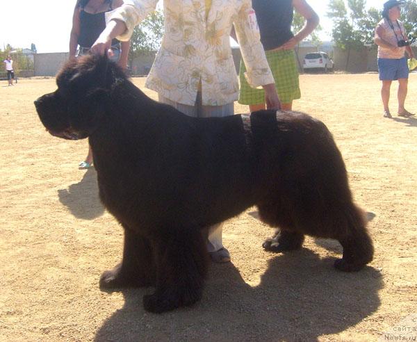 Фотография № 32100