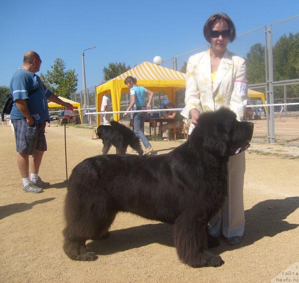 Фотография № 32101