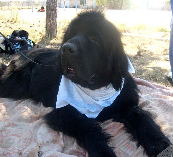 Фотография № 32102