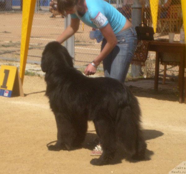 Фотография № 32103