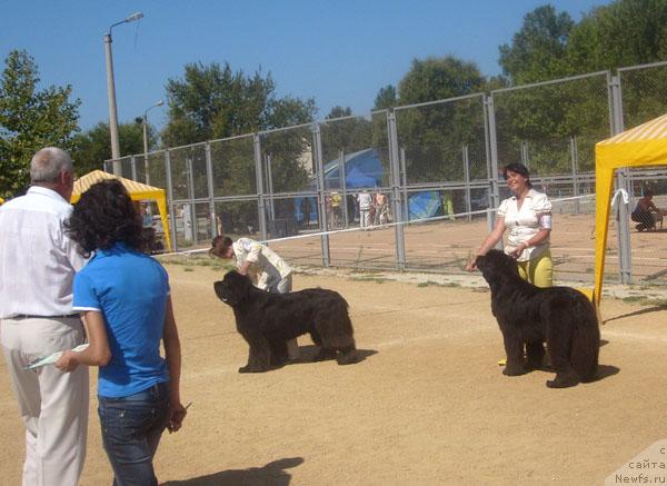 Фотография № 32104